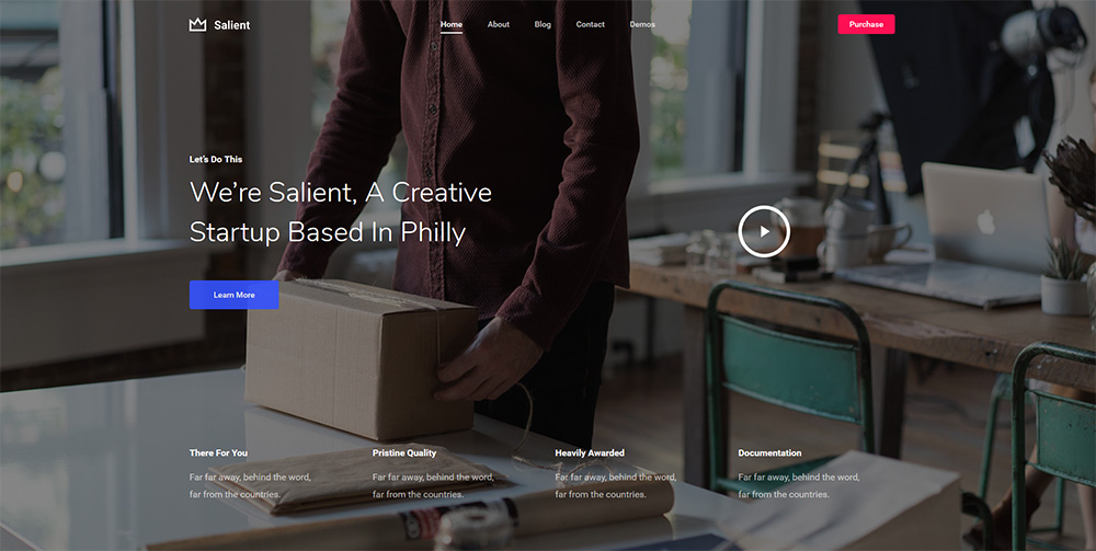 Salient Portfolio WordPress Theme